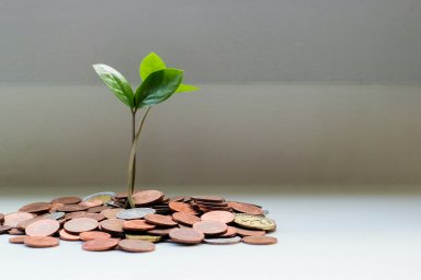 Программа долгосрочных сбережений