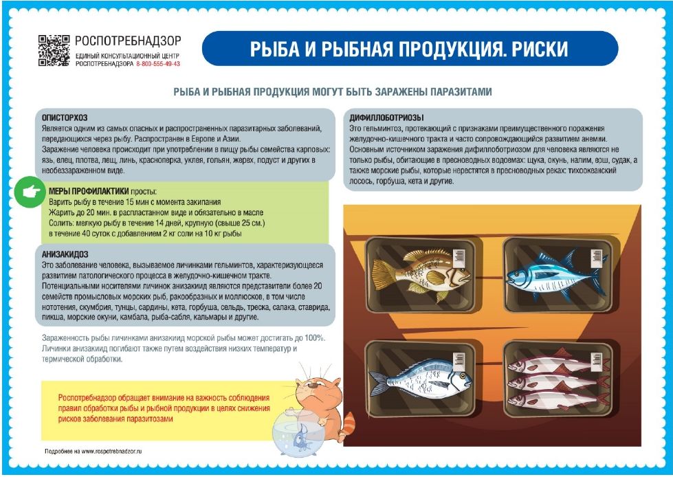 Рыба и рыбная продукция. Риски